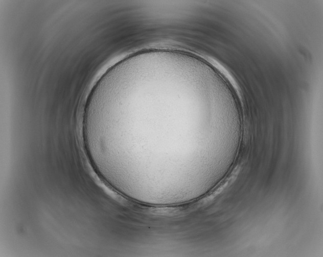 X0000111201437200907291221