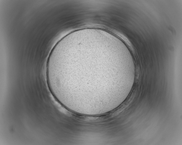 X0000111201439200907291221