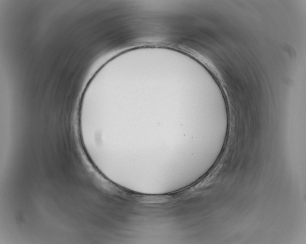 X0000111201440200907291221