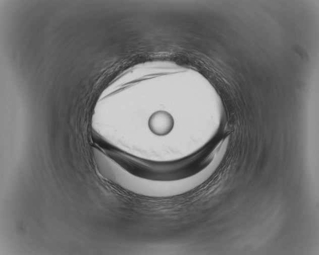 X0000111201441200907291220