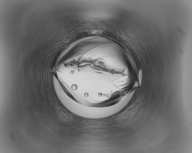 X0000111201443200907291220