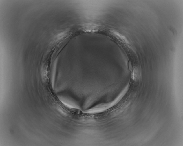 X0000111201444200907291220