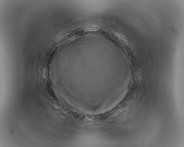 X0000111201445200907291220