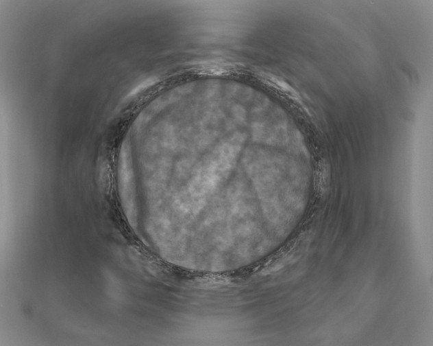 X0000111201446200907291220