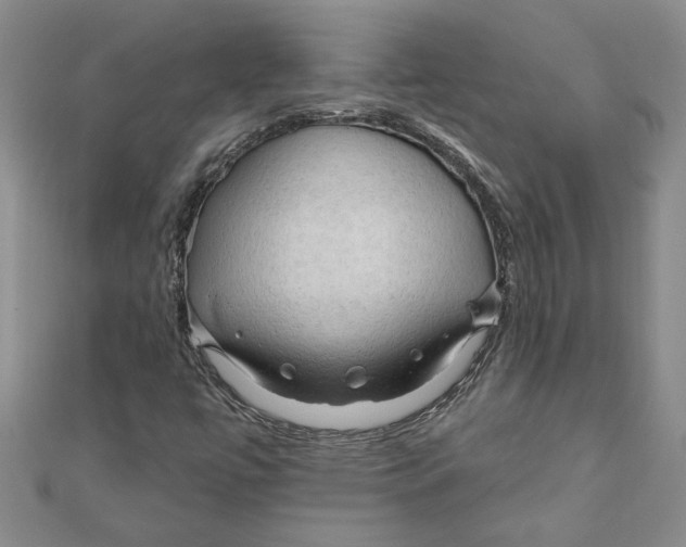 X0000111201447200907291220