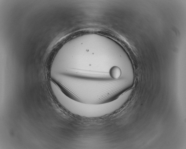 X0000111201448200907291220