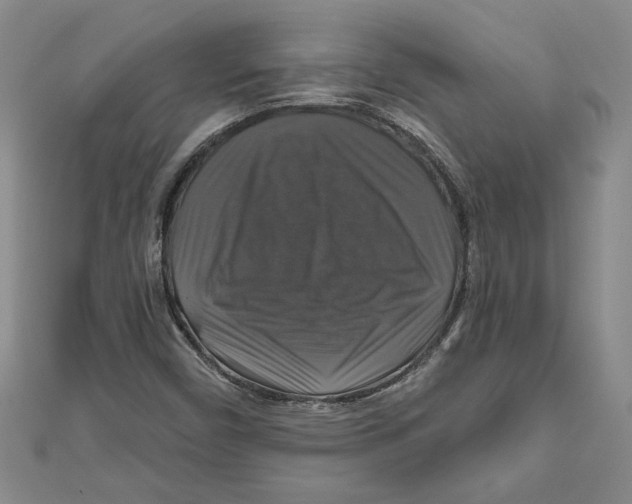 X0000111201450200907291220