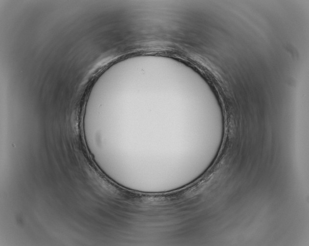 X0000111201451200907291220