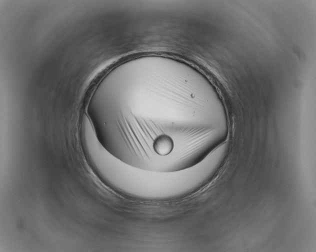 X0000111201452200907291220