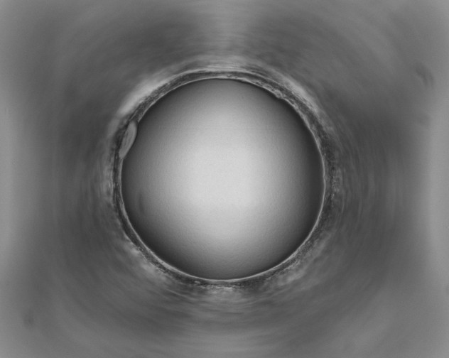 X0000111201456200907291220