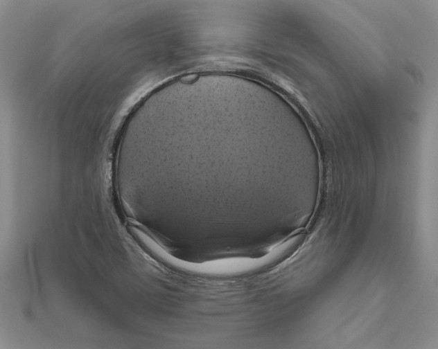 X0000111201459200907291220