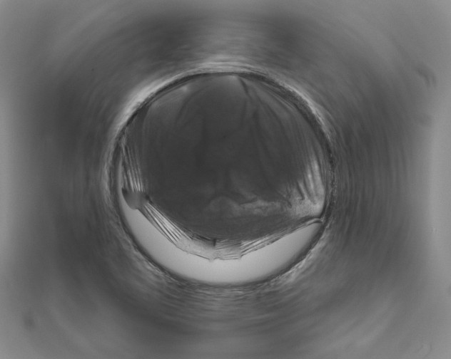 X0000111201461200907291220