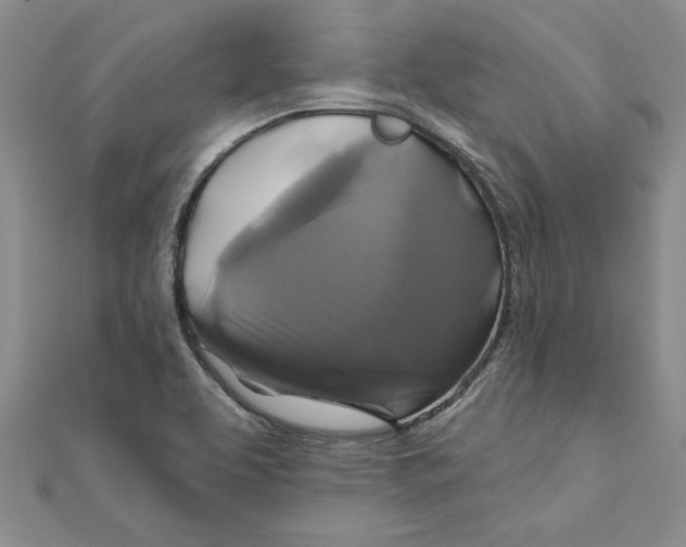 X0000111201463200907291220