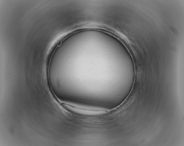 X0000111201464200907291220