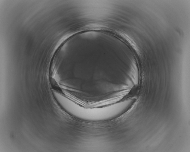 X0000111201465200907291220