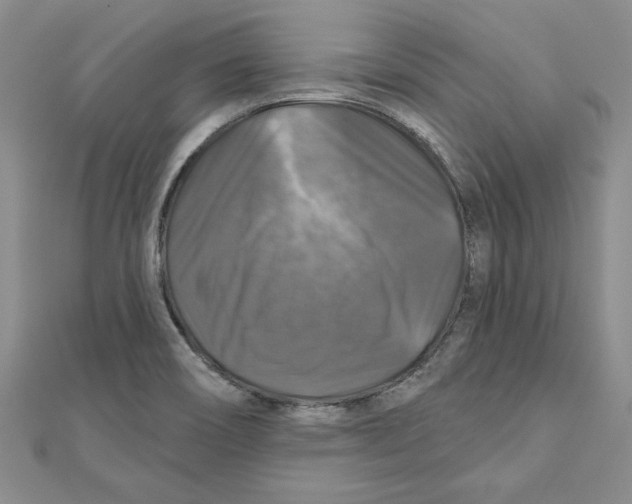 X0000111201466200907291220