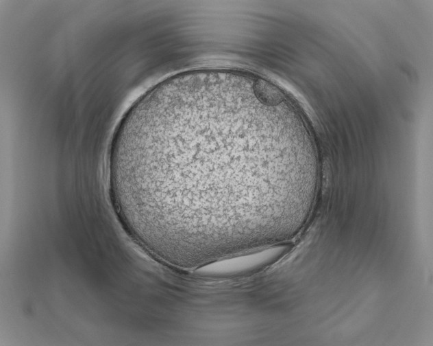 X0000111201467200907291220