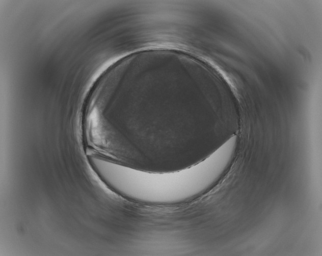 X0000111201468200907291220