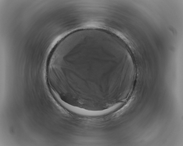 X0000111201469200907291220