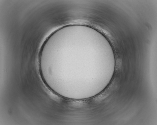 X0000111201470200907291220