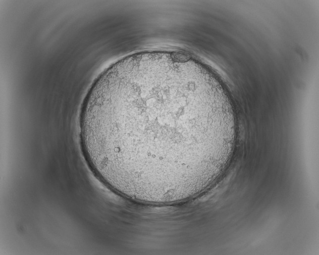 X0000111201471200907291220