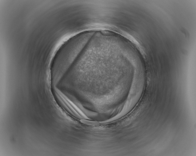 X0000111201472200907291220