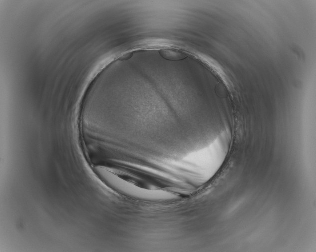 X0000111201475200907291220