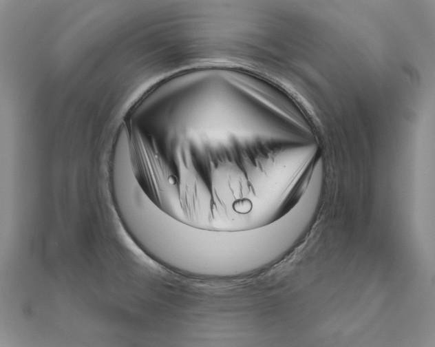 X0000111201476200907291220