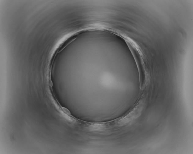 X0000111201477200907291220