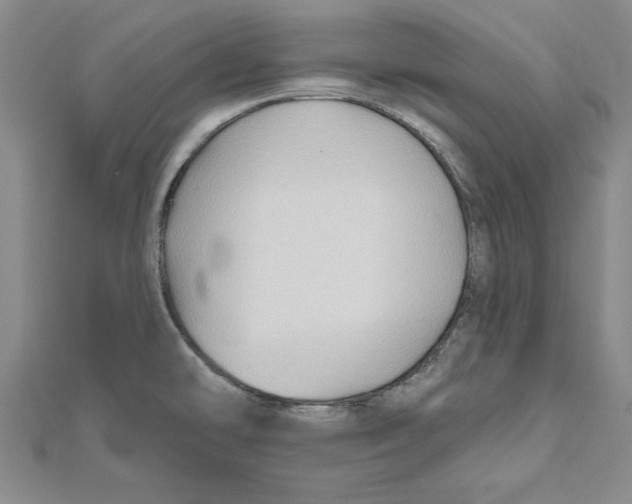 X0000111201478200907291220