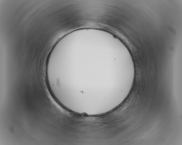 X0000111201479200907291220