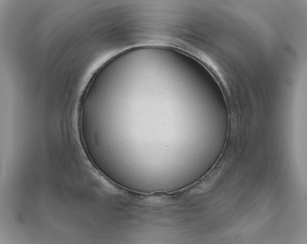 X0000111201480200907291220