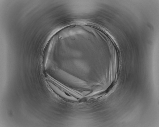 X0000111201481200907291220