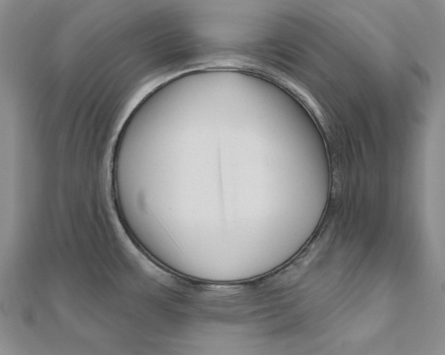 X0000111201483200907291219