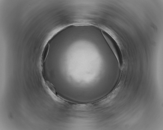 X0000111201485200907291219