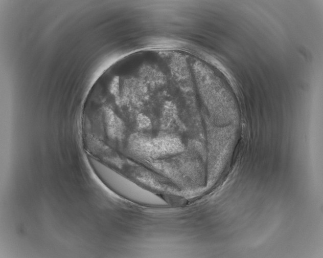 X0000111201487200907291219