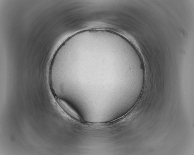 X0000111201488200907291219