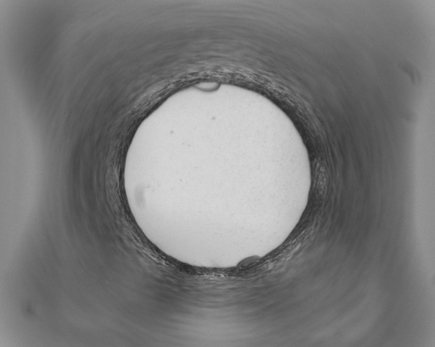 X0000111201489200907291219