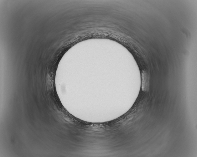 X0000111201491200907291219