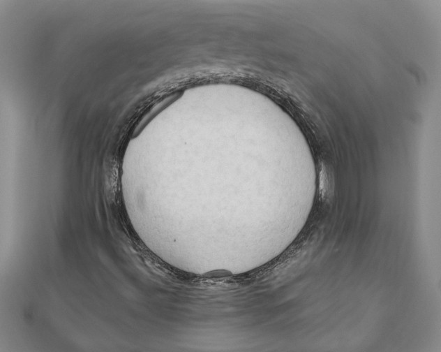 X0000111201492200907291219