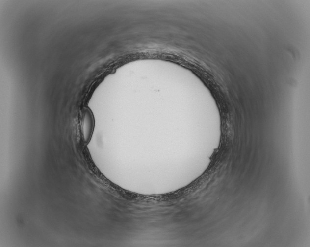 X0000111201493200907291219