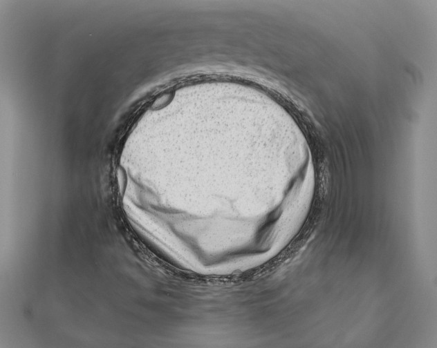 X0000111201494200907291219