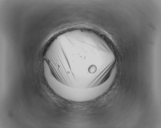 X0000111201496200907291219