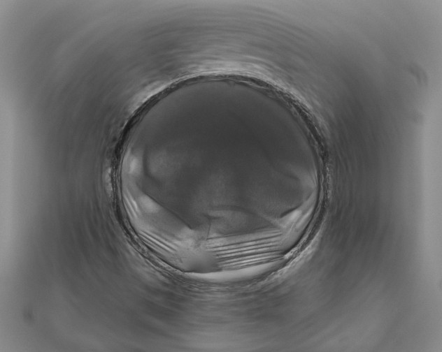 X0000111201497200907291219