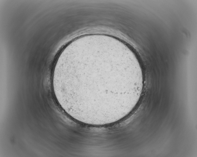 X0000111201498200907291219