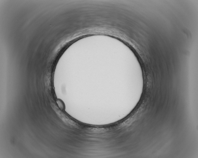 X0000111201499200907291219