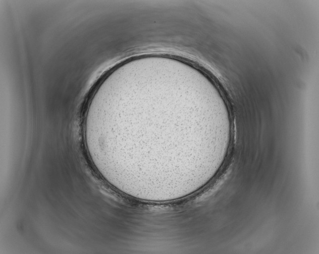 X0000111201501200907291219