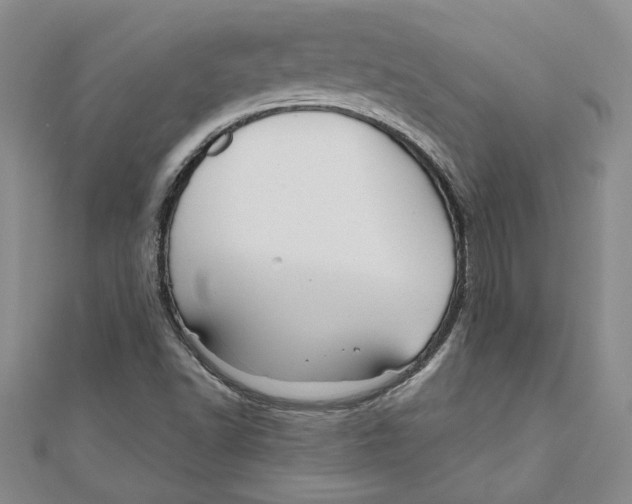 X0000111201502200907291219