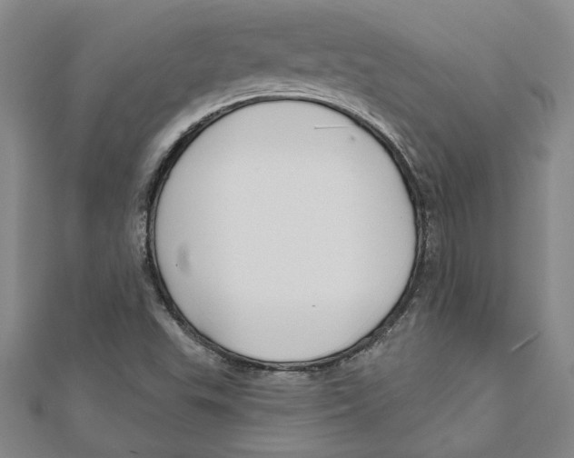 X0000111201503200907291219