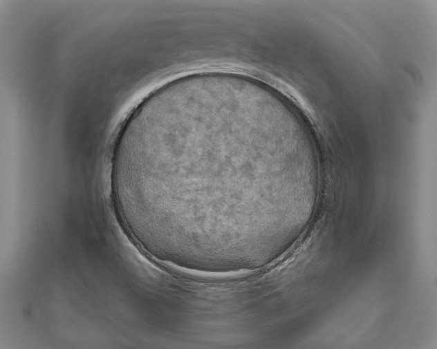 X0000111201504200907291219